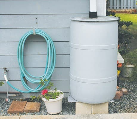 Small plastic rainwater collection barrels are perfect for irrigating
gardens and small lawns.